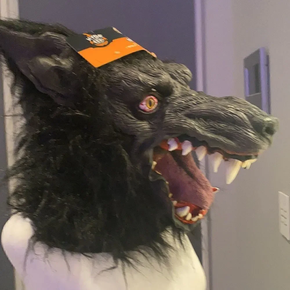 Kids Wolf Mask One Size NWT